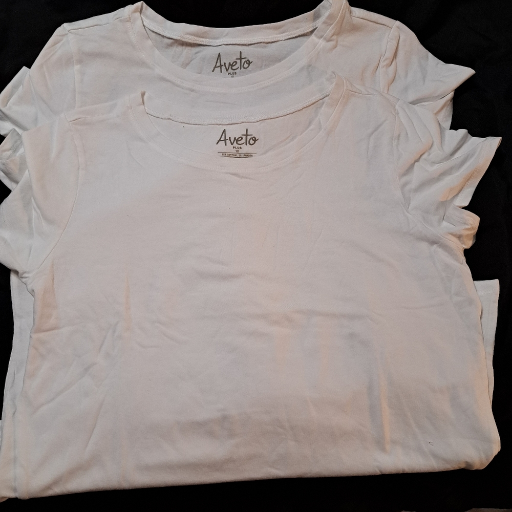 Aveto Women's Plus Size T-shirts 2 pack